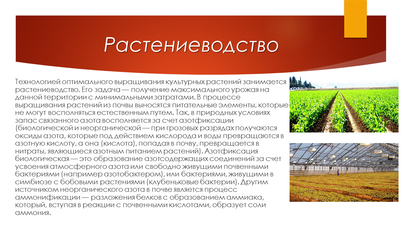 Какая ягода лучше подойдет для выращивания на продажу?