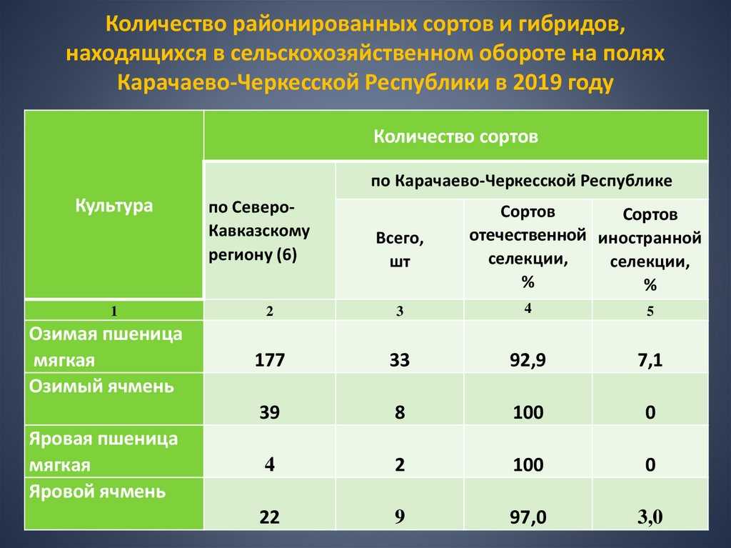 ᐉ селекция и сортоведение - roza-zanoza.ru