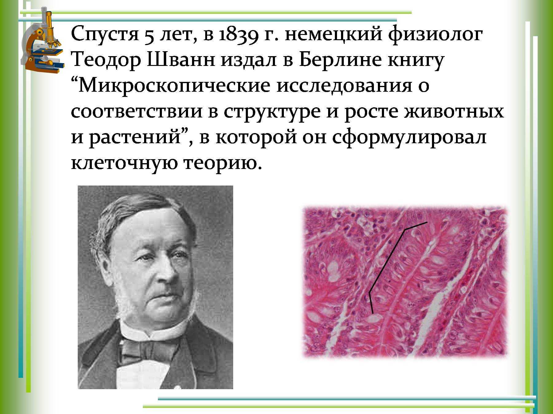 Шванн, теодор - гений науки и личность в истории медицины: биография, достижения и вклад в развитие науки