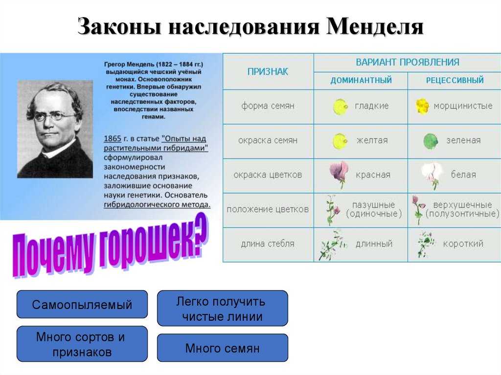 Билим булагы