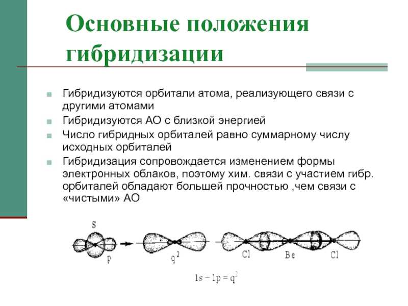 Гибридизация нуклеиновых кислот реферат