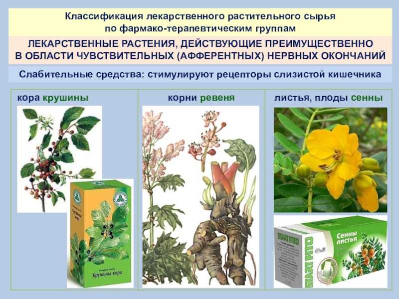 Аминокислотный состав сырья стевии различного происхождения
							| химия растительного сырья
