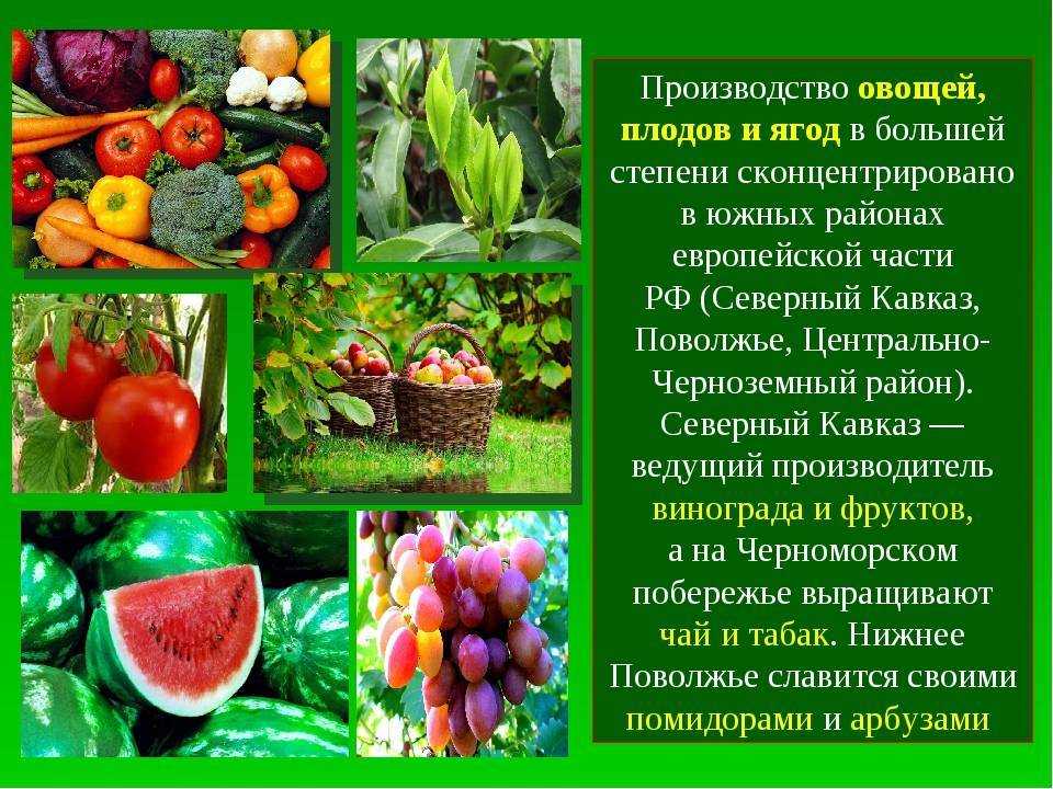 Дубильные вещества, что это такое. польза дубильных веществ для организма | здоровье человека