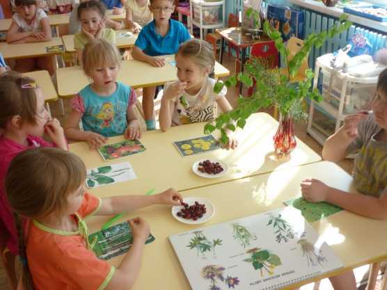 "судьба природы в наших руках", сочинение
