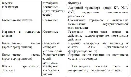 Ядро