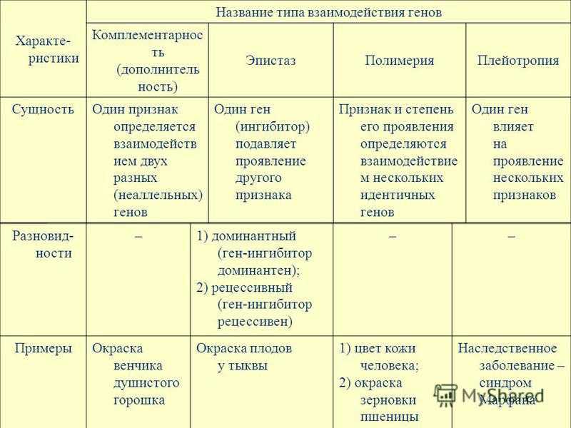 Типы взаимодействия генов