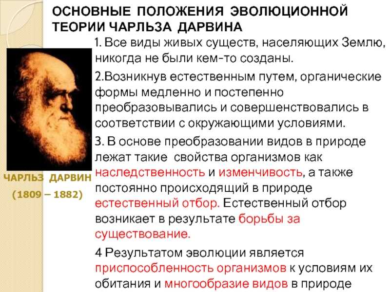 Коротко о теории происхождения видов чарльза дарвина