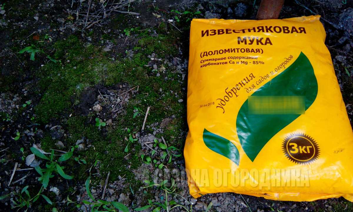 Железный купорос - применение в садоводстве, как приготовить раствор