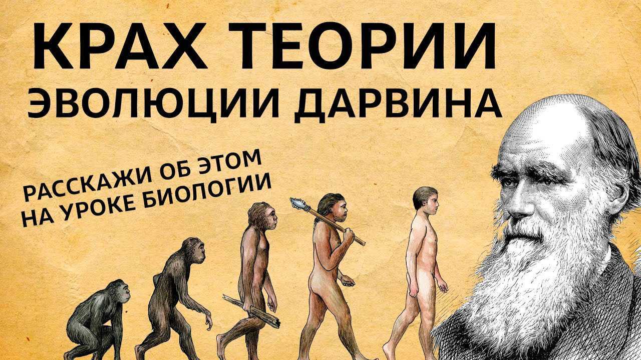 Естественный отбор: как это происходит и примеры