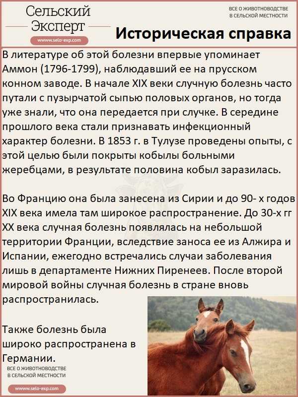 Случная болезнь лошадей: диагностика болезни, причины возникновения, пути заражения, симптомы, лечение, фото