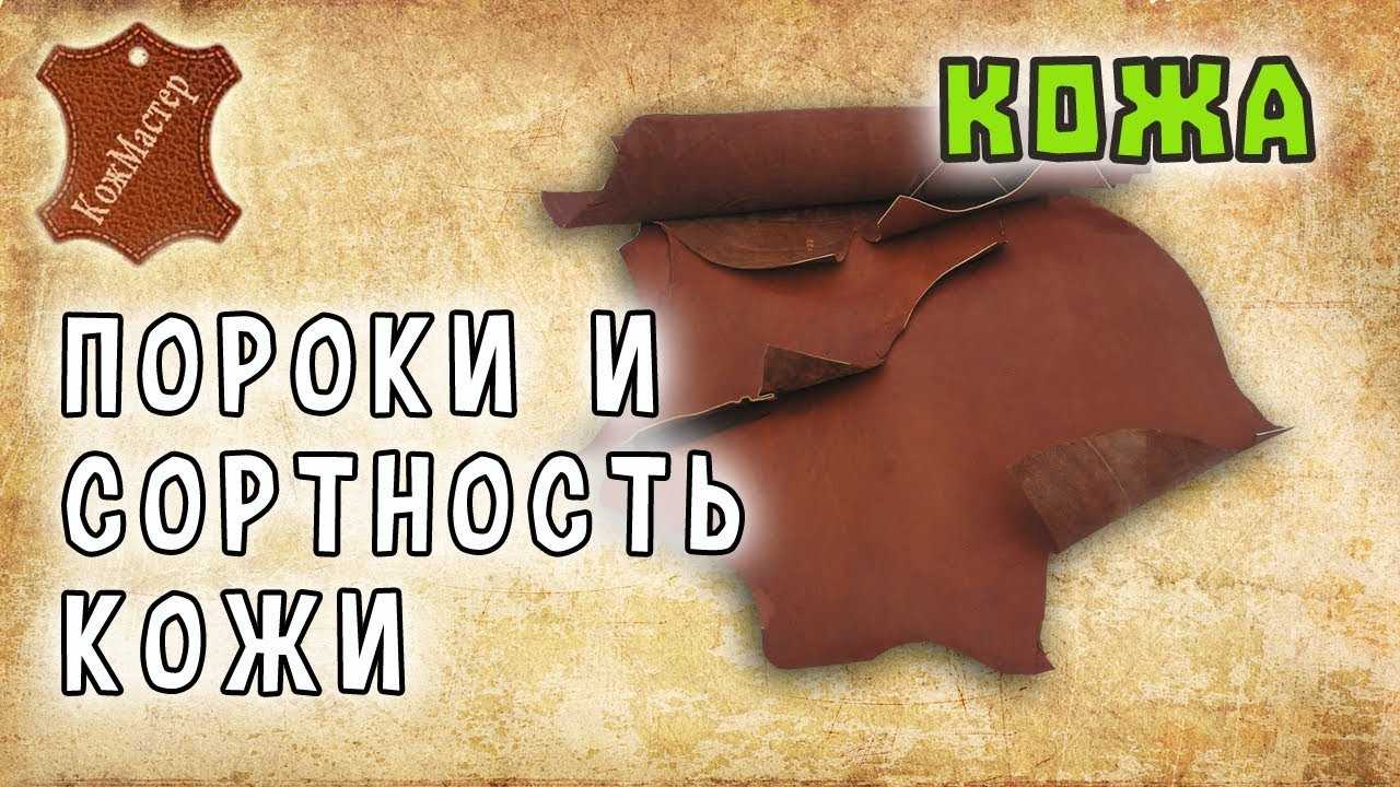 Какие еще бывают пороки шкур?