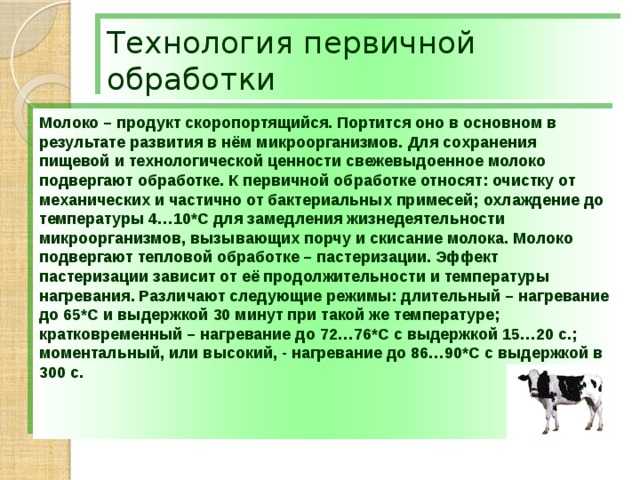 Технология производства молока и особенности содержания