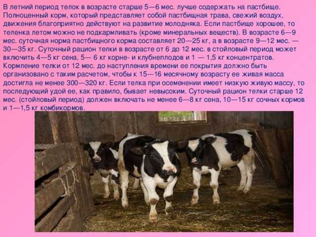 Гигиенические требования к содержанию животных в пастбищный период. реферат. сельское хозяйство. 2012-01-24