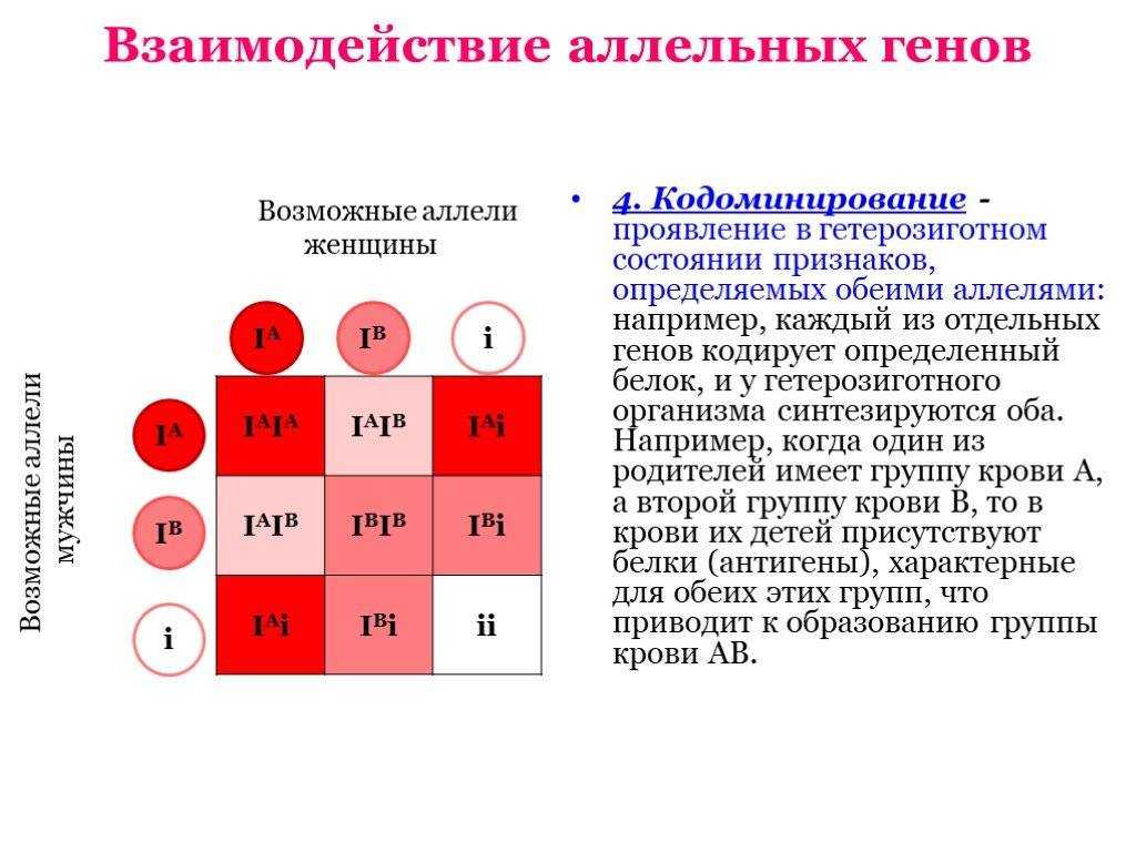 Взаимодействие генов – типы (комплементарное, полимерное, эпистатическое, плейотропное)