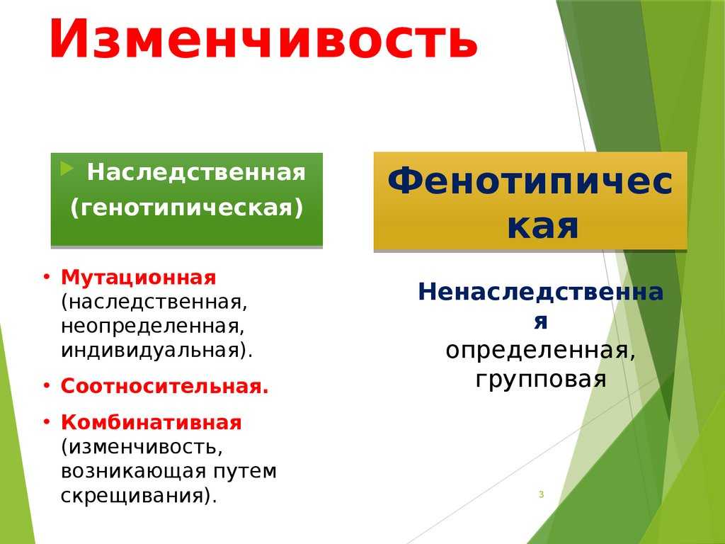Модификационная изменчивость – значение и примеры