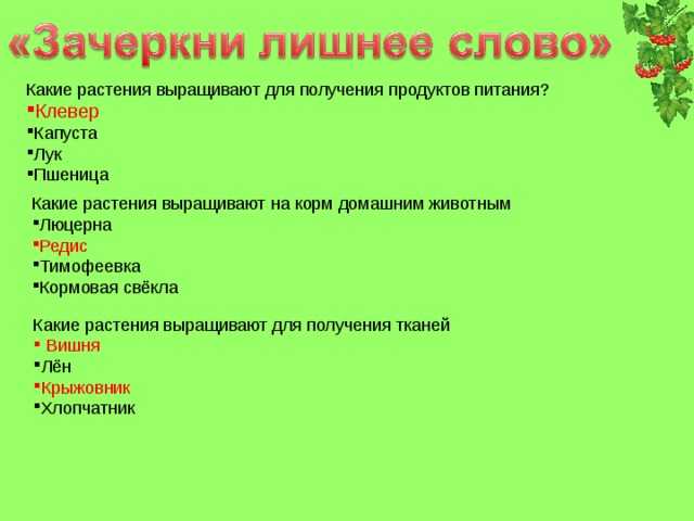 Кормовые культуры - виды семейства растений, список видов, фото и названия