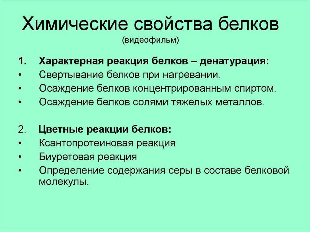 Белки́