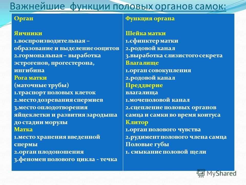 Ознакомление с методами стимуляции и регуляции половой функции самок и самцов презентация, доклад, проект