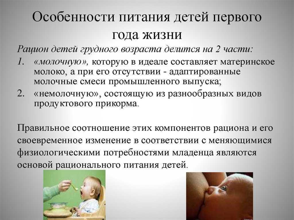 Нормированное кормление: основные принципы и преимущества