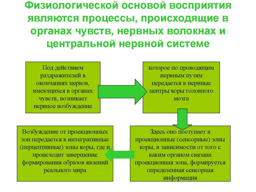 Трансдукция (генетика)