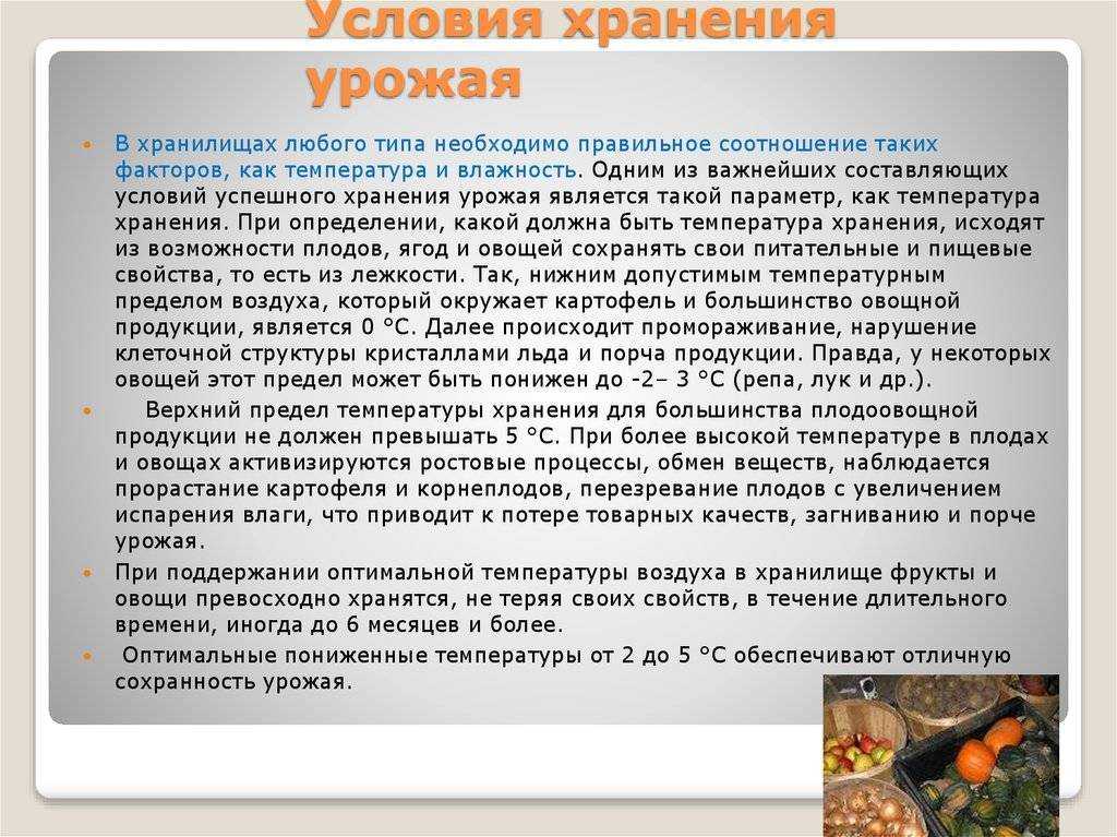 Длительное хранение фруктов и овощей в регулируемой атмосфере  |  аппяпм
