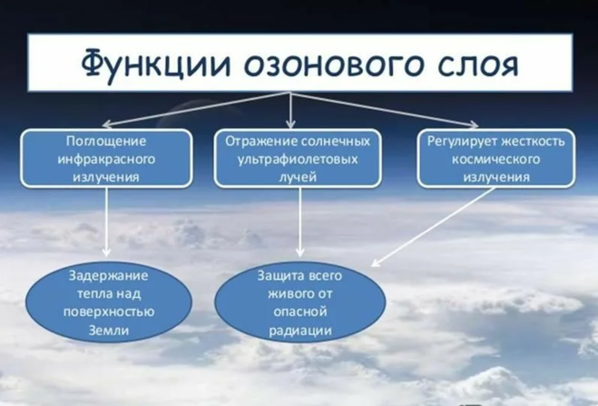 Загрязнение биосферы
