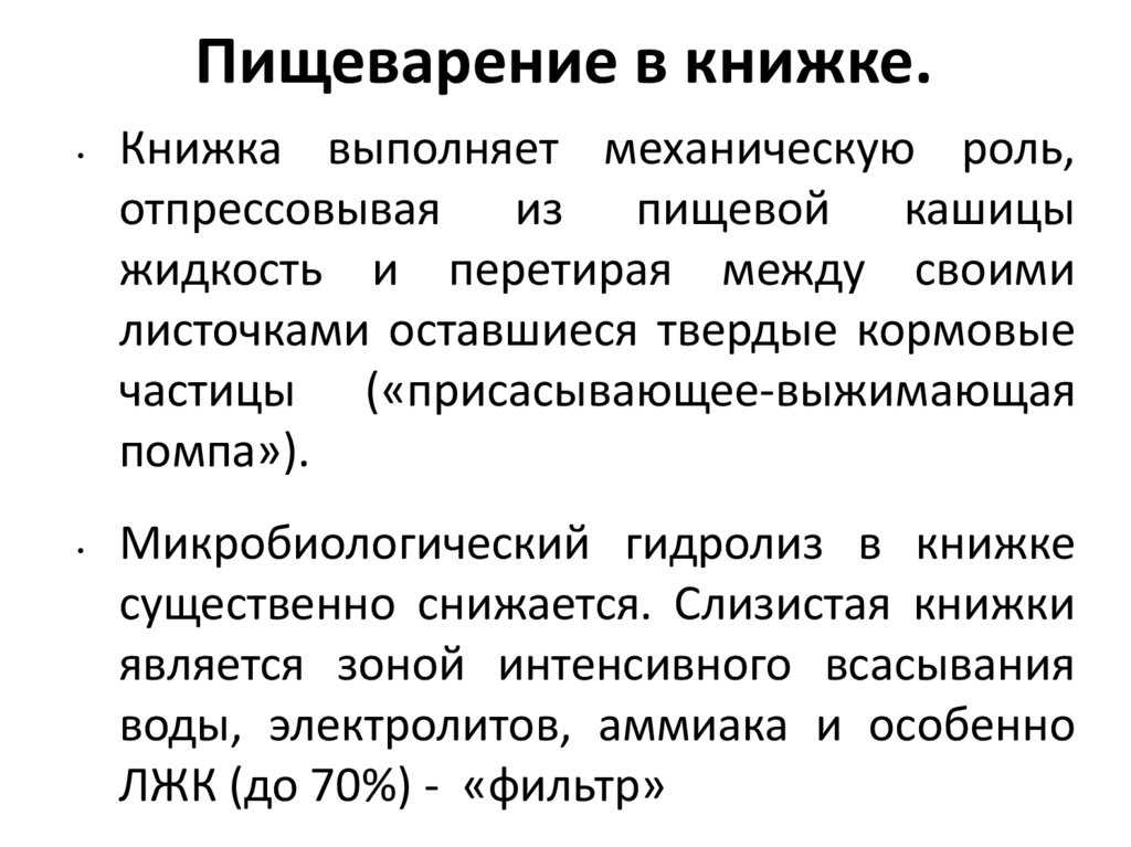 Пищеварение овец