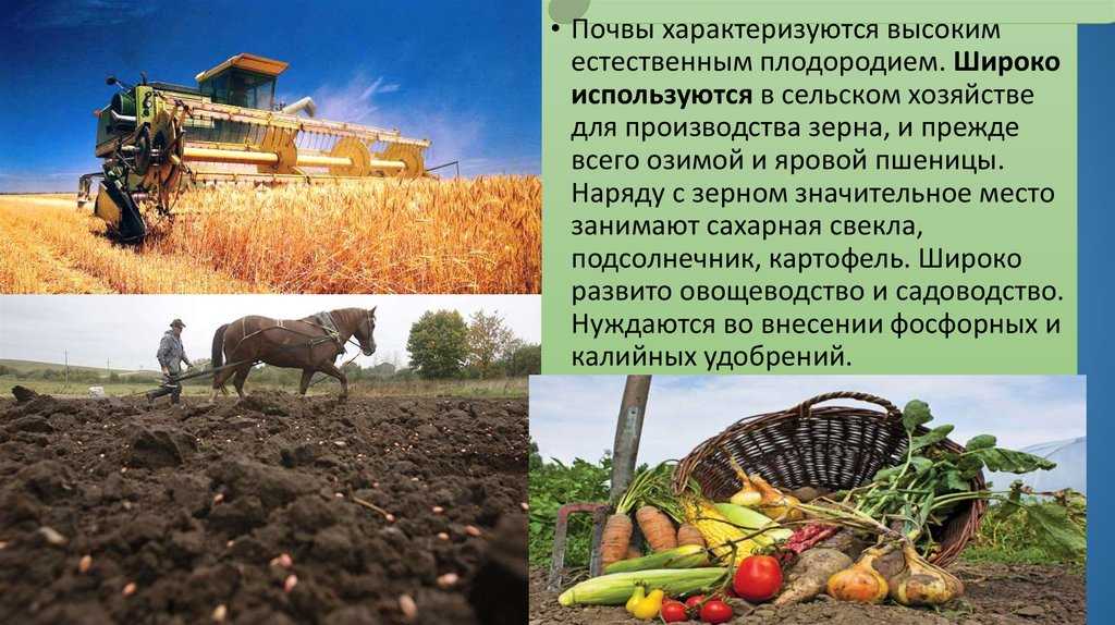 Том 2