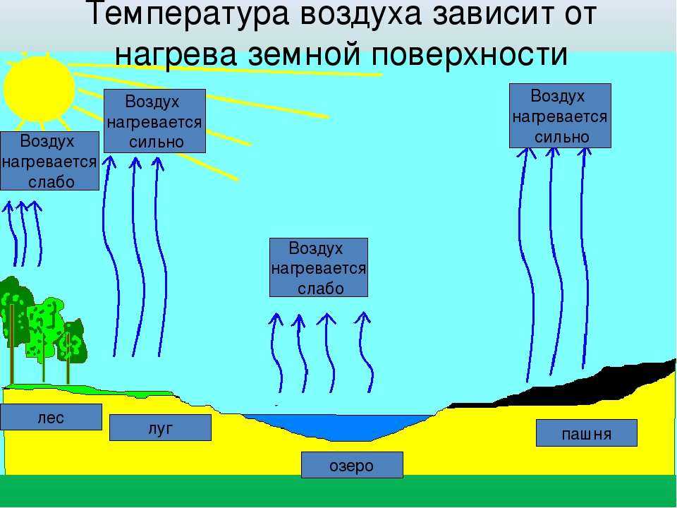 Презентация на тему растениеводство. регулирование водного, воздушного, теплового и питательного режима почвенного покрова