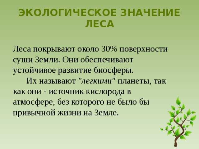 Антропогенные воздействия на растительность