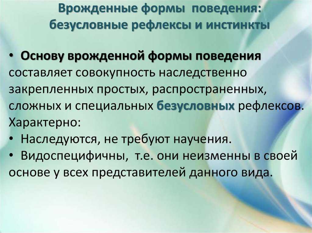 Курс «функциональная зоология». 2 непрерывность существования организма и вида зависит от эффективности действий индивидуума. поведение - это направленные. - презентация