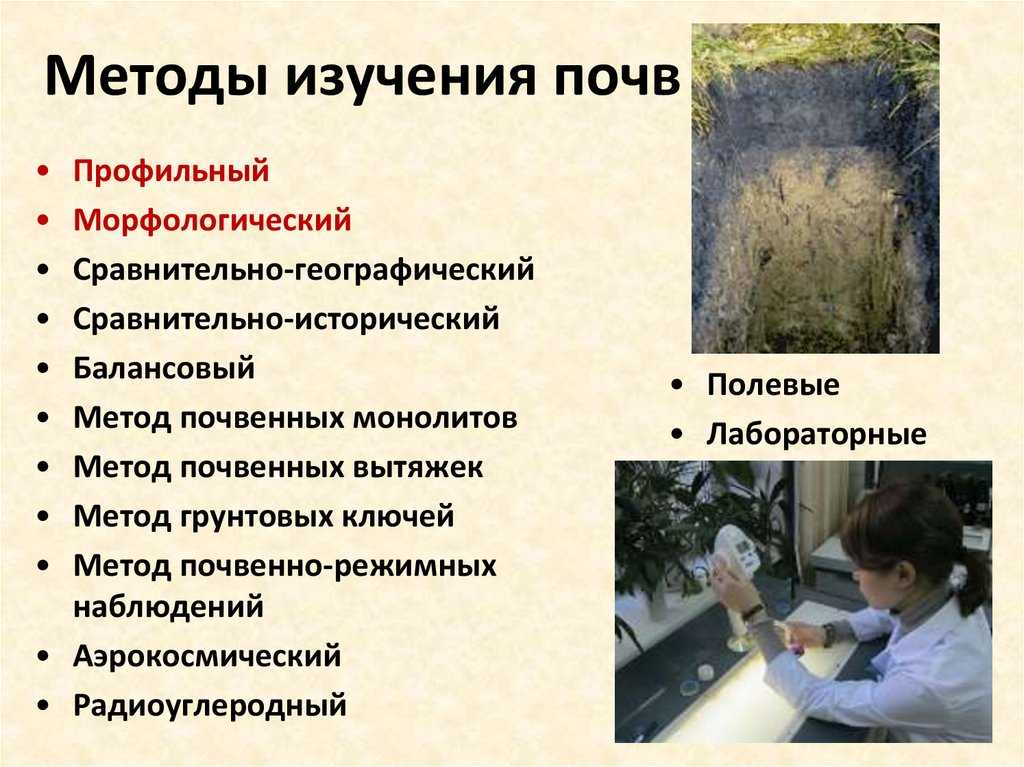 Методы исследования в почвоведении кратко