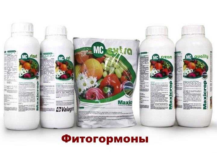 Активация роста растений с помощью фитогормонов