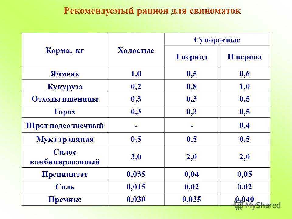 Откорм свиней на мясо — агроxxi