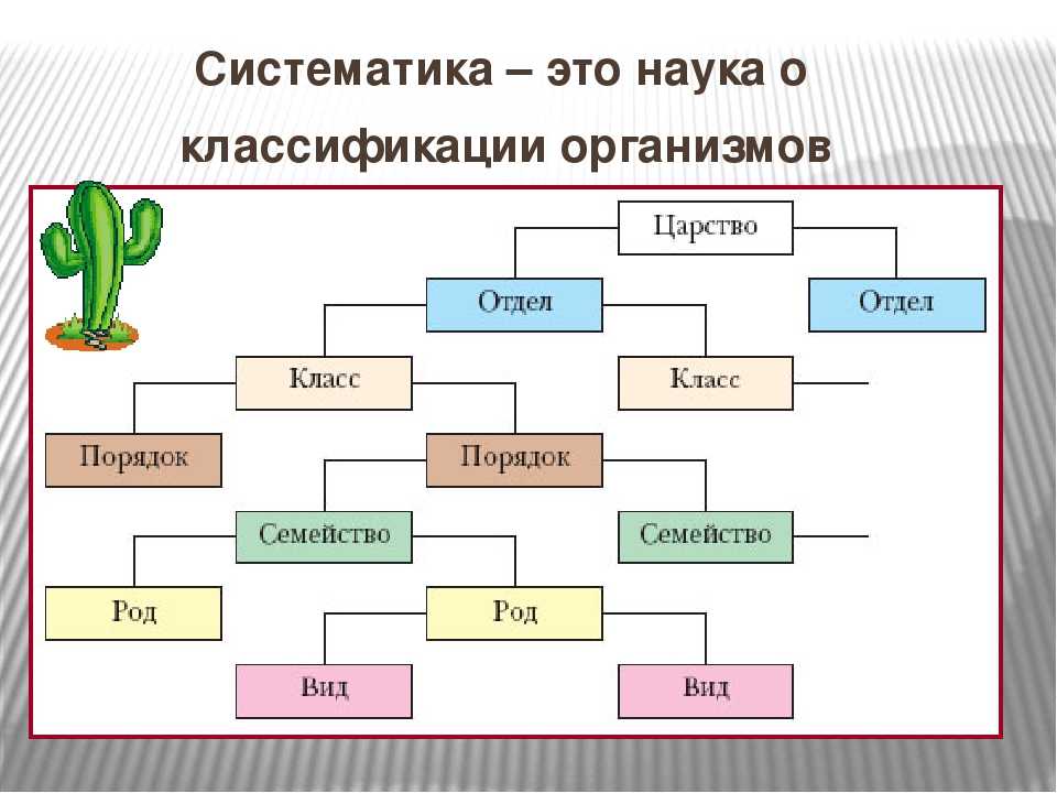 Распространенные луговые травы, которыми можно украсить свой участок