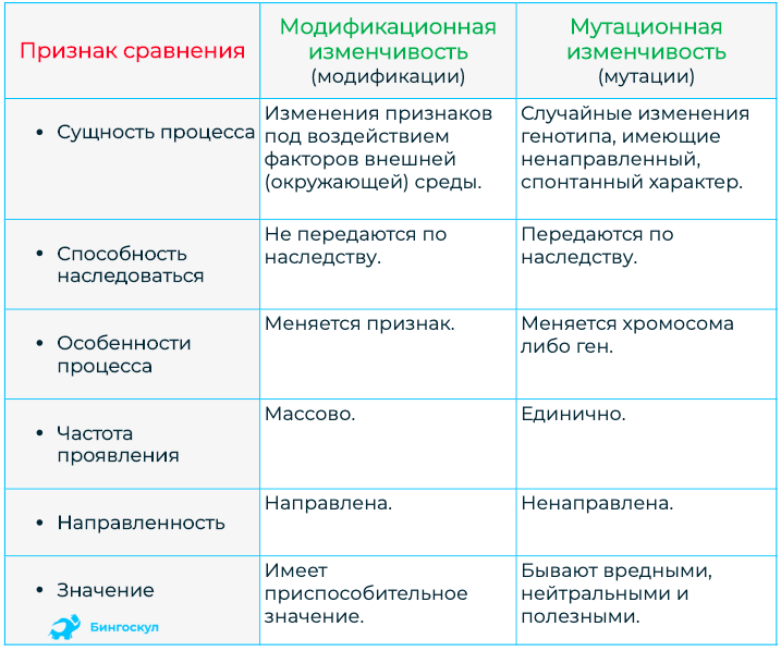 Презентация по биологии: модификационная изменчивость (10 класс)  доклад, проект