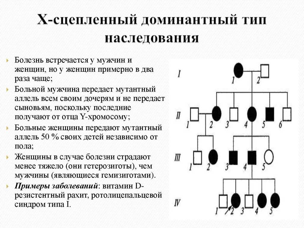 Наследование ограниченных и зависимых от пола признаков