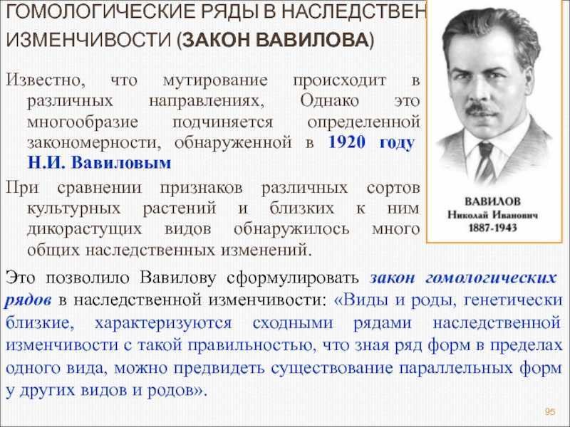 Гомологические ряды в наследственной изменчивости