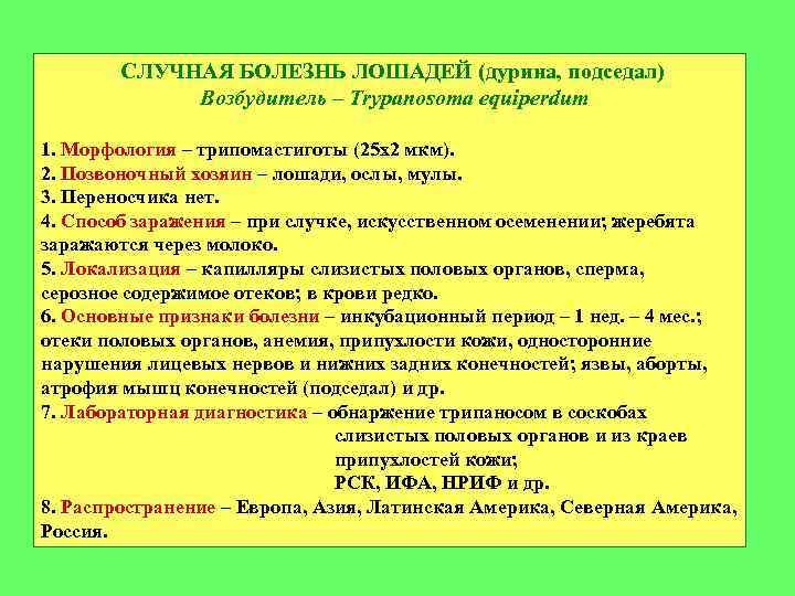 Трипаносомы: особенности строения, жизненный цикл, формы