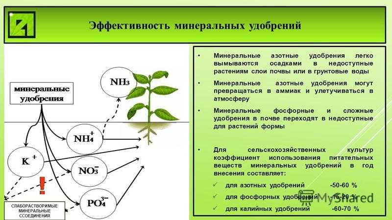 Азотные удобрения