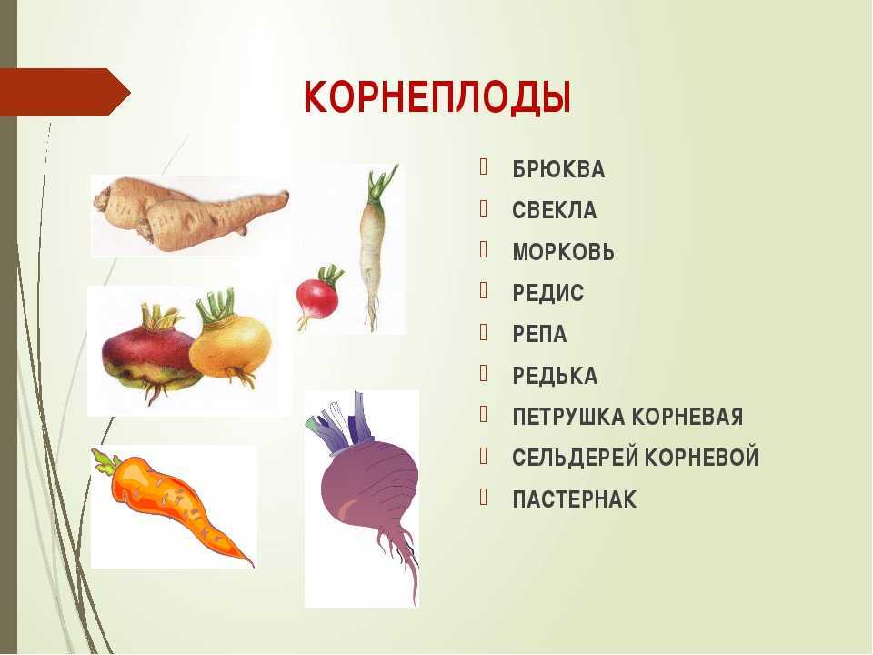 Редис