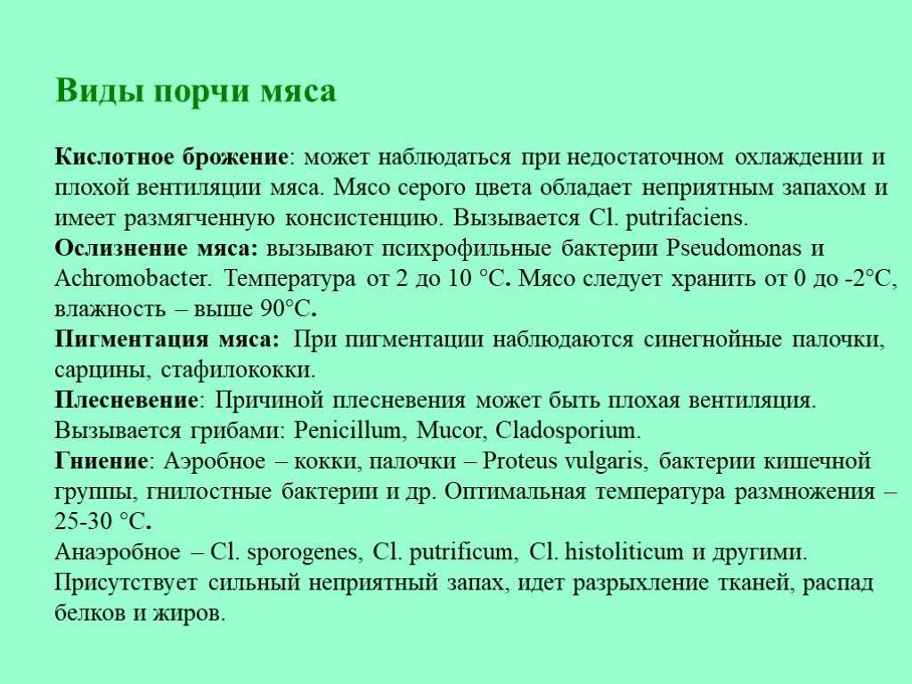 Что выделяется при гниении мяса. гниение мяса: что происходит и как его определить