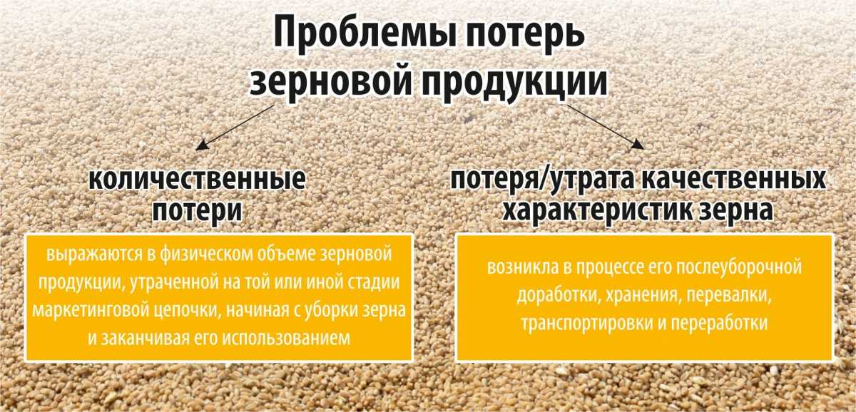 Повреждение - зерно
 - большая энциклопедия нефти и газа, статья, страница 1