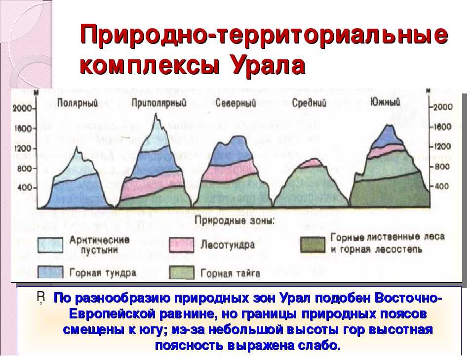 Как сохранить природное разнообразие степей в южноуральском секторе российско-казахстанского приграничья | №30 осень 2010 | степной бюллетень