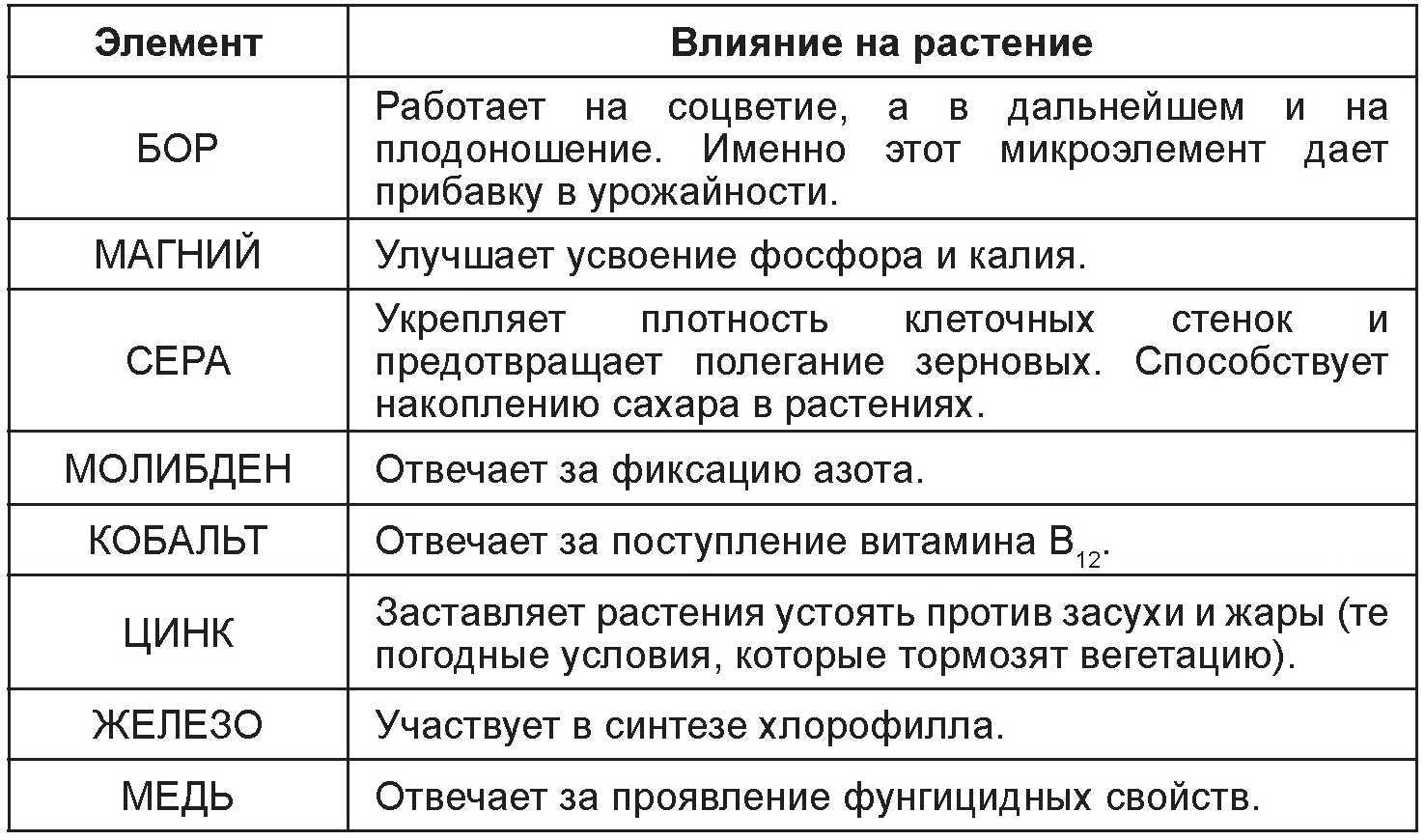 Что такое почва?