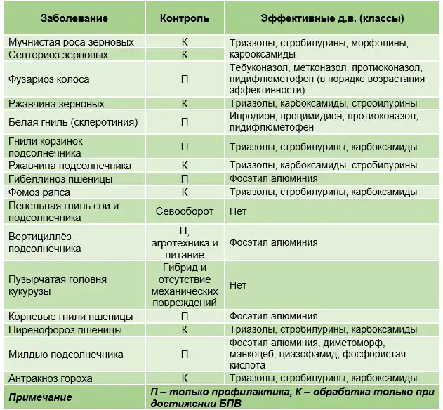Какими бывают плодожорки — главные враги садовода