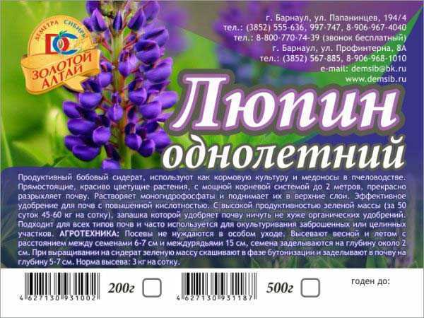 Посадка и уход люпина многолетнего – 7 особенностей, агротехника и лучшие сорта