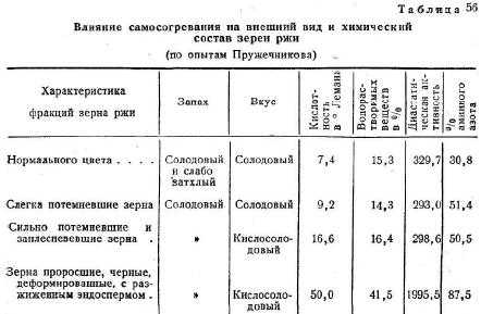 Разница между сеном и сенажем - разница между - 2023
