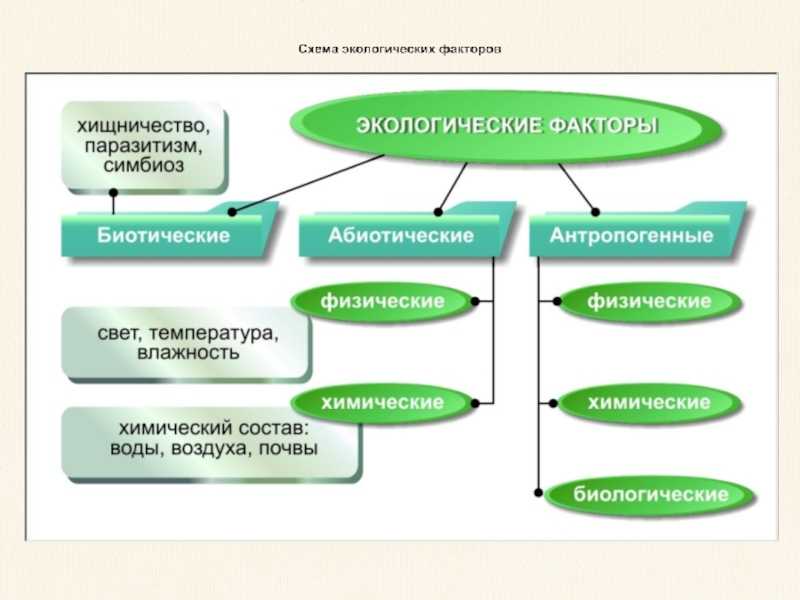Внешняя среда организации. факторы прямого и косвенного воздействия — концепция внешней среды организации