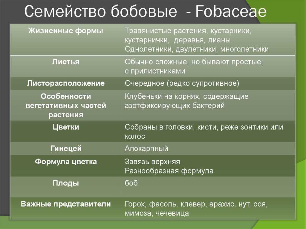 Группа зернобобовых культур, виды, особенности биологии и пищевая ценность.